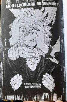Кохэй Хорикоси: Моя геройская академия 6. Книги 11-12