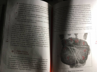 Острогорский, Шлыков: Психология руки. Полный обзор теории и практики хиромантии
