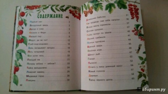 Николай Сладков: Лесные сказки