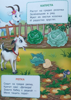 Ирина Шестакова: Овощи и фрукты