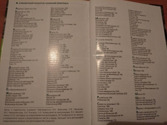 Владимир Бабенко: Животные рядом с нами