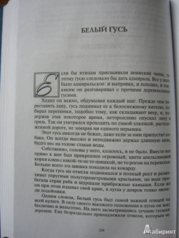 Евгений Носов: Памятная медаль. Повести и рассказы