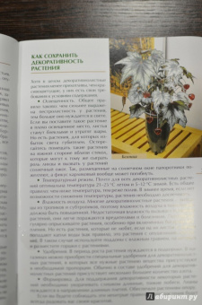 Валентин Воронцов: Секреты ухода. Декоративнолистные комнатные растений