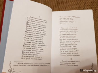 Михаил Лермонтов: Кавказские поэмы