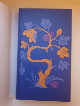 Элиф Шафак: Остров пропавших деревьев