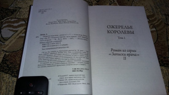 Александр Дюма: Ожерелье королевы. Том 2
