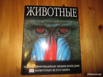 Животные