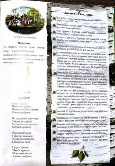 Маневич, Маневич: Иллюстрированный гербарий