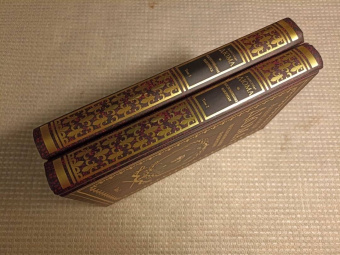 Александр Дюма: Воспоминания фаворитки. В 2-х томах. Том 2