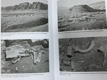 Йорген Лессёэ: Ассирийцы. Покорители народов