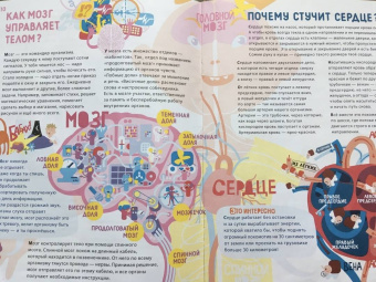 Ксения Евдокимова: Человек