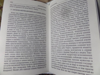 Таисия Олейникова: Святые, коим Господь даровал особую благодать исцелять болезни и подавать помощь в других нуждах
