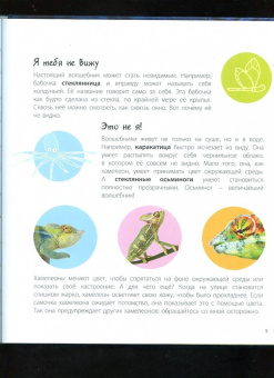 Мак Гагельдонк: Посмотри, как я могу! Чудеса животного мира