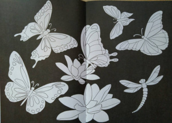 Раскраска ВОЛШЕБНЫЙ ЧЕРНЫЙ. ЦВЕТЫ И УЗОРЫ (Р-5489)