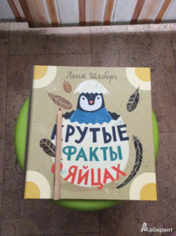 Лена Шёберг: Крутые факты о яйцах