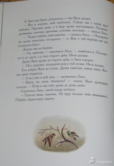 Софья Прокофьева: Не буду просить прощения