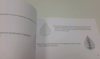Анна Николаева: Скетчбук по ботанической иллюстрации. Простые пошаговые уроки по рисованию цветов и растений