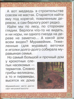 Инна Гамазкова: Гнезда, норки, домики