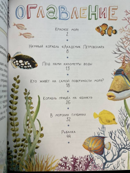 Александр Тамбиев: Как увидеть морское дно?