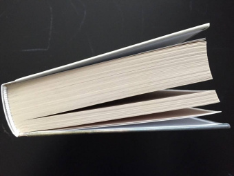 Марсель Пруст: В поисках утраченного времени:  Пленница