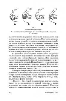 Хохрин, Рожков, Лунегова: Кормление собак. Учебное пособие