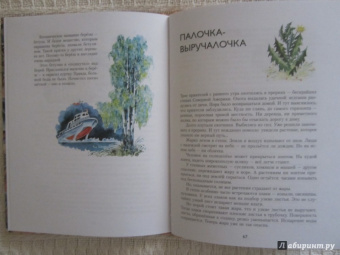Николай Осипов: Заколдованное дерево