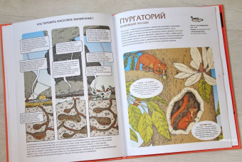 Лавердан, Ражак: Животные затерянного мира