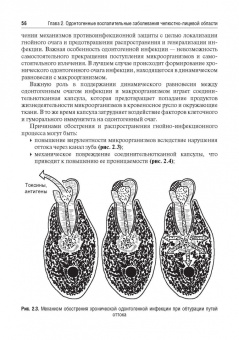 Дурново, Успенская, Мишина: Стоматология. Учебник