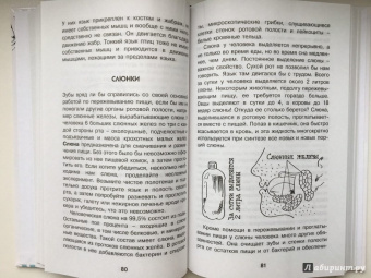 Борис Сергеев: Как устроен человек