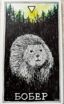 Ким Кранс: The Wild Unknown Animal Spirit. Дикое Неизвестное тотемное животное. Колода-оракул (63 карты и рук.)