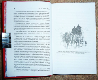 Рид Майн: Желтый вождь