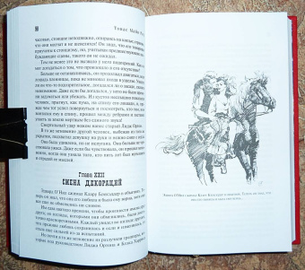 Рид Майн: Желтый вождь