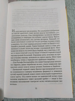 Уилбур Смит: И плачут ангелы