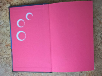 Анна Одувалова: Холодный разум