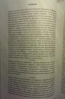 Уильям Гэсс: Тоннель