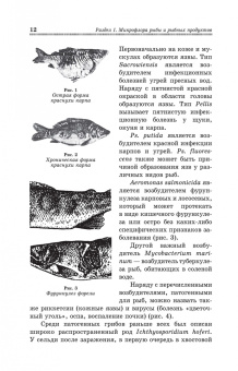 Долганова, Першина, Хасанова: Микробиологические основы технологии переработки гидробионтов. Учебное пособие. СПО