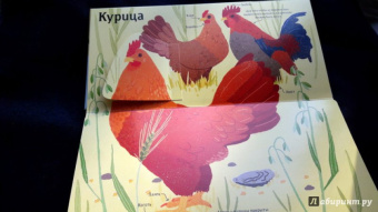 Боманн, Дюпон: Животные снаружи и внутри