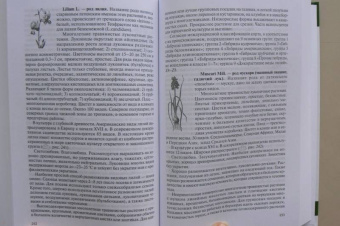 Исачкин, Скакова, Шарафутдинов: Декоративное садоводство с основами ландшафтного проектирования. Учебник