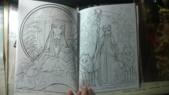 Большая книга фееричных раскрасок