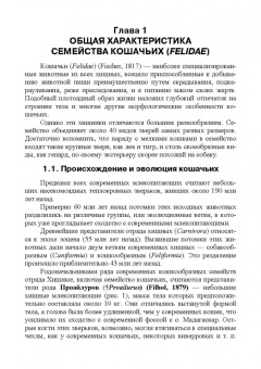 Веселова, Блохина: Биология, систематика и разведение кошачьих. Учебное пособие для вузов
