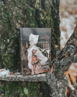 Чарльз Диккенс: Крошка Доррит. Комплект из 2-х книг. Бедность. Богатство