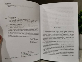 Катерина Коротеева: Аура Лаорка. Хозяйка Зеркала