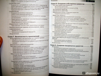 Козловский, Бэкон: Разработка веб-приложений с использованием AngularJS