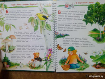 Татьяна Елумеева: Растения
