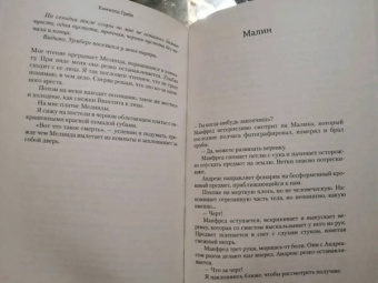 Камилла Гребе: Дневник моего исчезновения