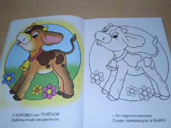 Юрий Чичев: Взрослые детки