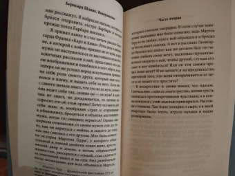 Бернхард Шлинк: Возвращение