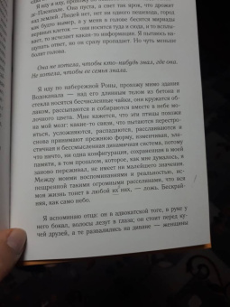Моника Саболо: Саммер