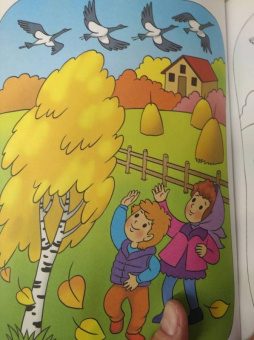Времена года