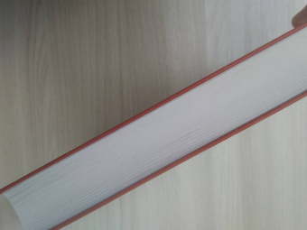 Шарлотта Бронте: Виллет